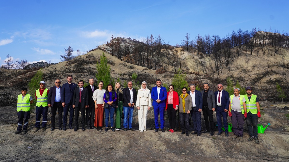 Yangın bölgesindeki ilk fidanlar toprakla buluştu