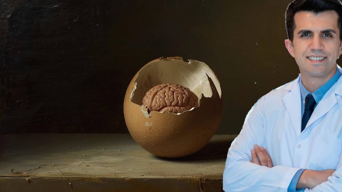 Yumurtanın beyin üzerindeki etkisi kanıtlandı! Prof. Dr. Keskin’den şaşırtan açıklama: Kendinizi 1 taneyle sınırlandırmayın