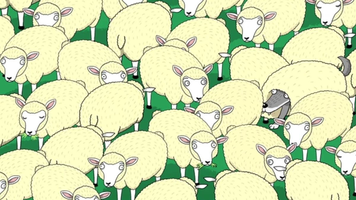 120 kişi denedi sadece 1’i buldu! 5 saniyeniz başlıyor: Gizli kurt nerede duruyor?