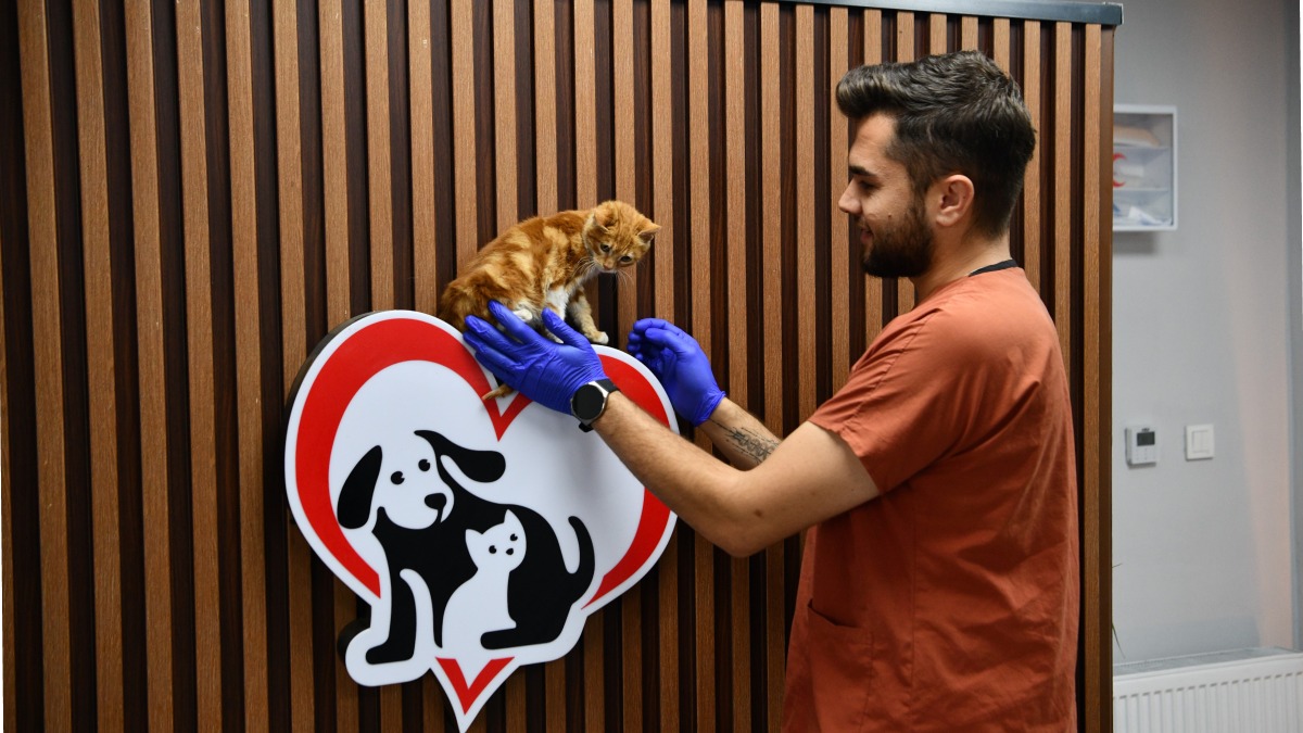 Balıkesir’de can dostlar Büyükşehir eliyle güvende