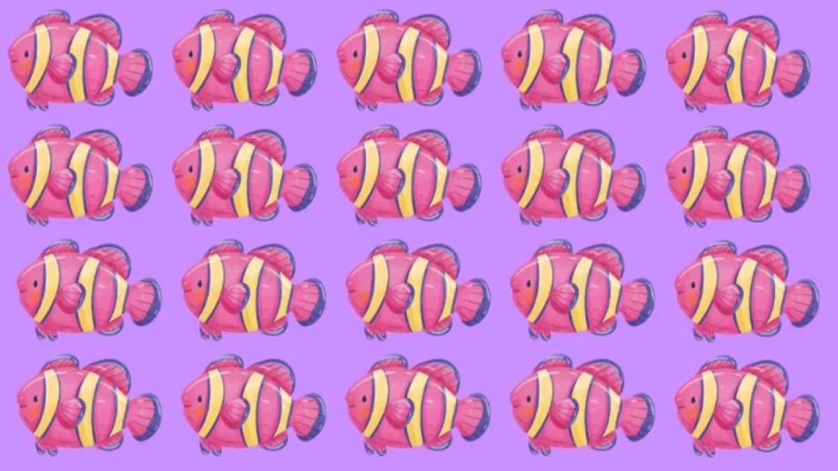 Gözünüz keskin mi? Dahi seviyesi dikkat testi: Onlarca balık arasındaki tek farkı 6 saniyede bulabilir misiniz?