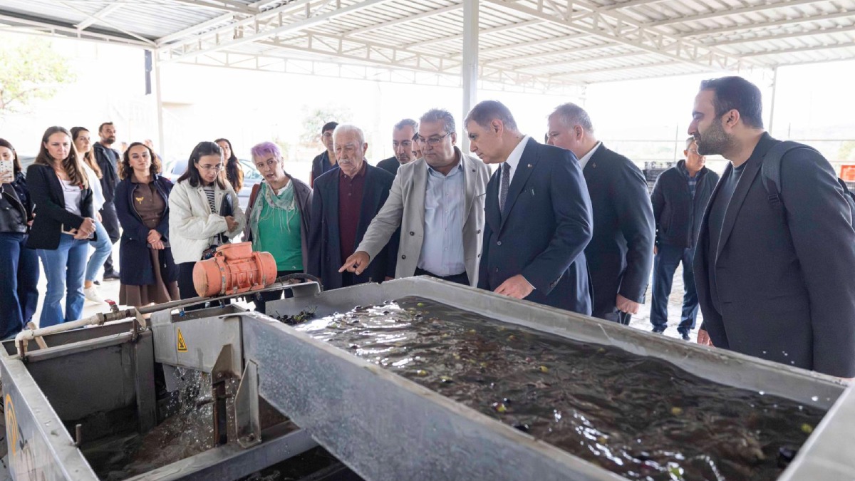 Sezonun ilk zeytinyağı Başkan Tugay’dan