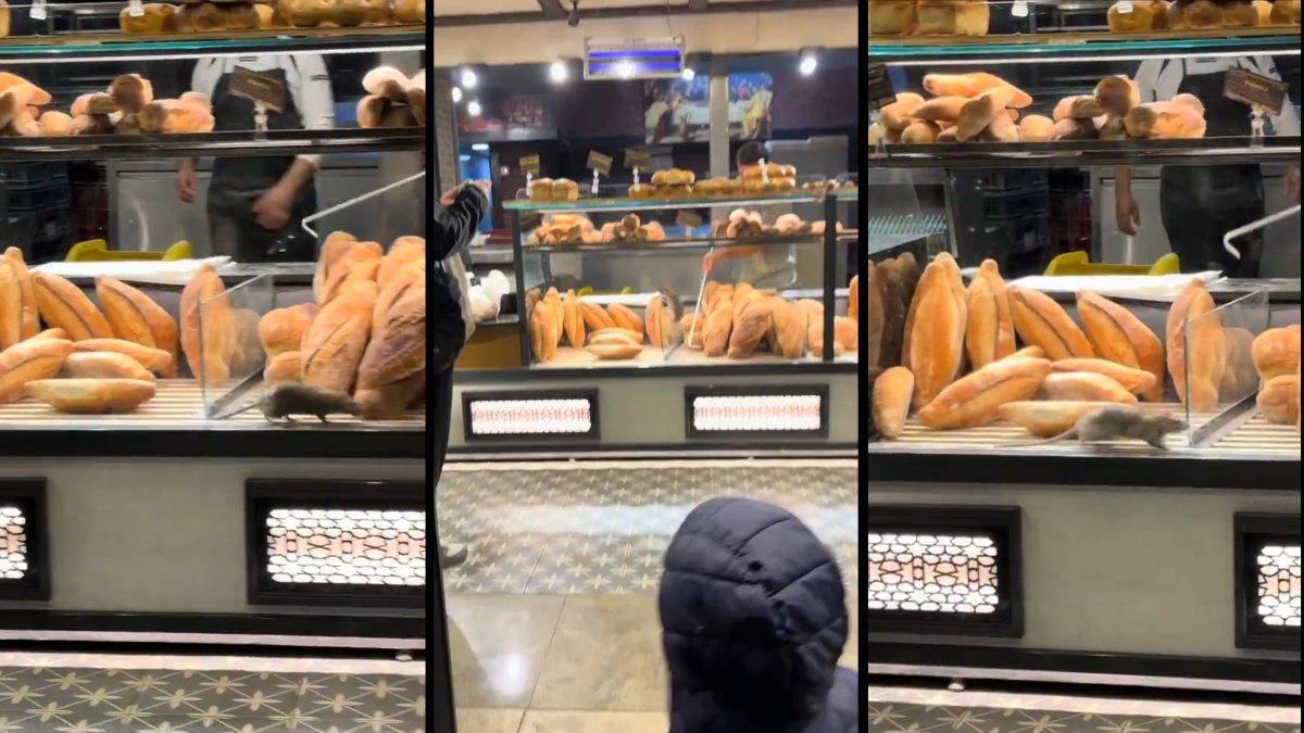 Gıda güvenliğinde inanılmaz skandal! Fırın vitrininde ekmeklerin üzerinde gezen dev fare sosyal medyayı ayağa kaldırdı