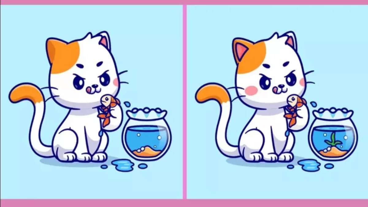 Görsel zeka sınırı 12 saniye! Akvaryum başındaki sinsi kedideki 3 farkı görebilenler dahi sınıfında