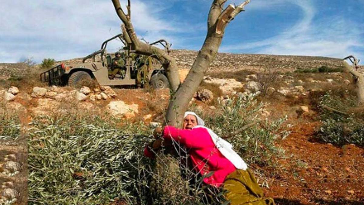 Beytüllahim’de zeytin hasadı sırasında filistinli aileye saldırı