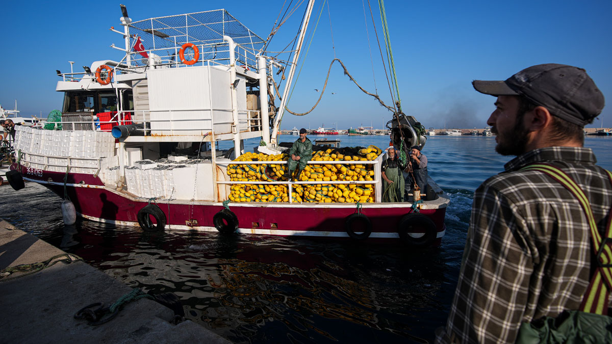 Egeli balıkçılarda tayfa krizi: Futbolcu gibi transfer oluyorlar