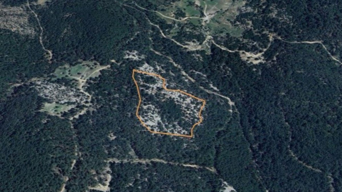 Ormanlık alanda mermer çıkarılacak: Muğla'daki maden ocağı projesine "ÇED olumlu" kararı