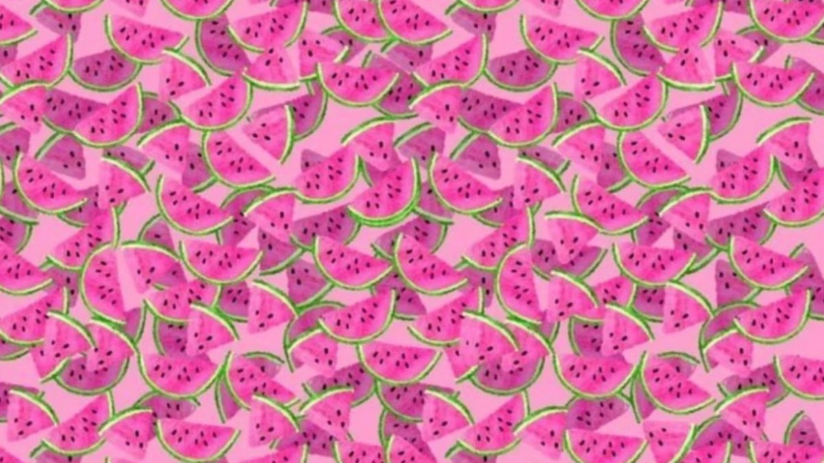 Keskin nişancılar bile yanılır! Resimde saklanan yelpazeyi 5 saniyede bulabilir misiniz?