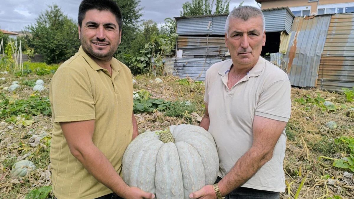 Hasadı başladı üretici sevinçten havalara uçtu! 15 TL’den satılıyor, fiyatı memnun ediyor