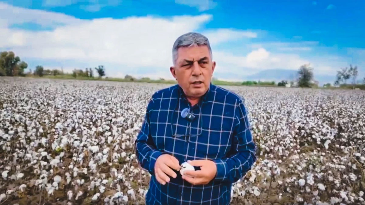 Pamuk üreticisi isyan etti: Maliyet 29 TL, 26 TL'ye satıyoruz; altından kalkılmaz