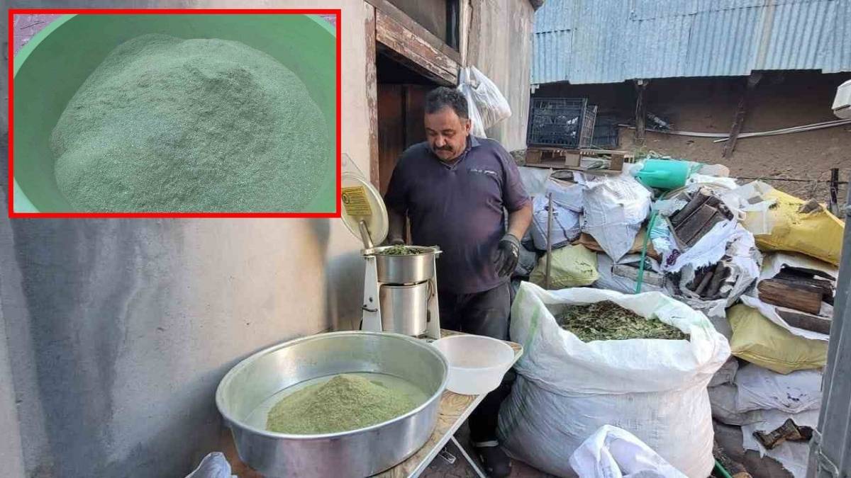 Doğadan toplanıyor, 120 farklı bitkiden oluşuyor! Nesilden nesle aktarılan şifa: Zetrin