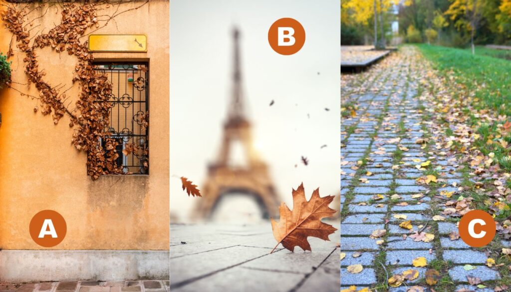 Kişilik testi: Enerjinizi yeniden kazanmak için neye ihtiyacınız olduğunu öğrenin!