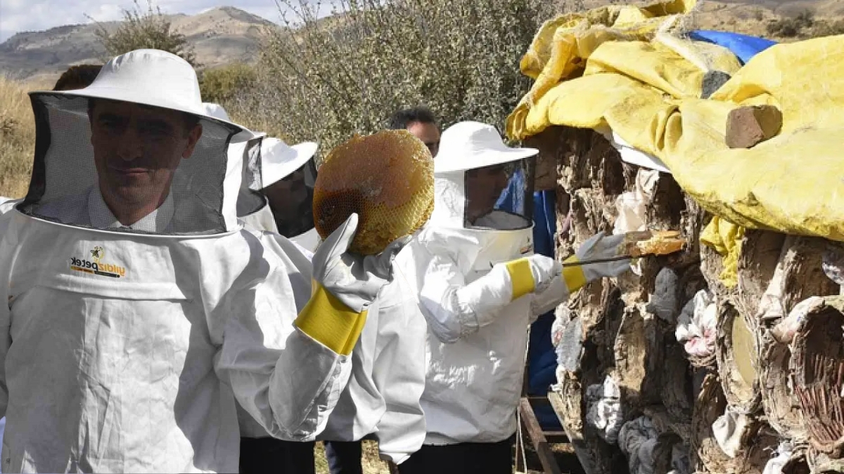 Yüksek rakımlarda hasat ediliyor, ünü dünyaya yayılıyor! Türkiye’de değil dünyada da marka değeri taşıyor