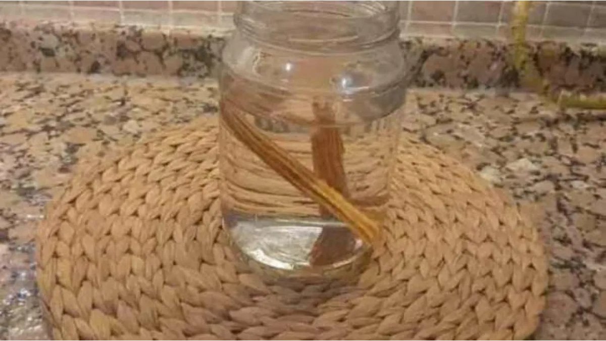 Suyun içine çıra atmayı hiç denediniz mi? Peki neden suyun içine çıra atılır? İşte suya çıra atmanın sırrı…