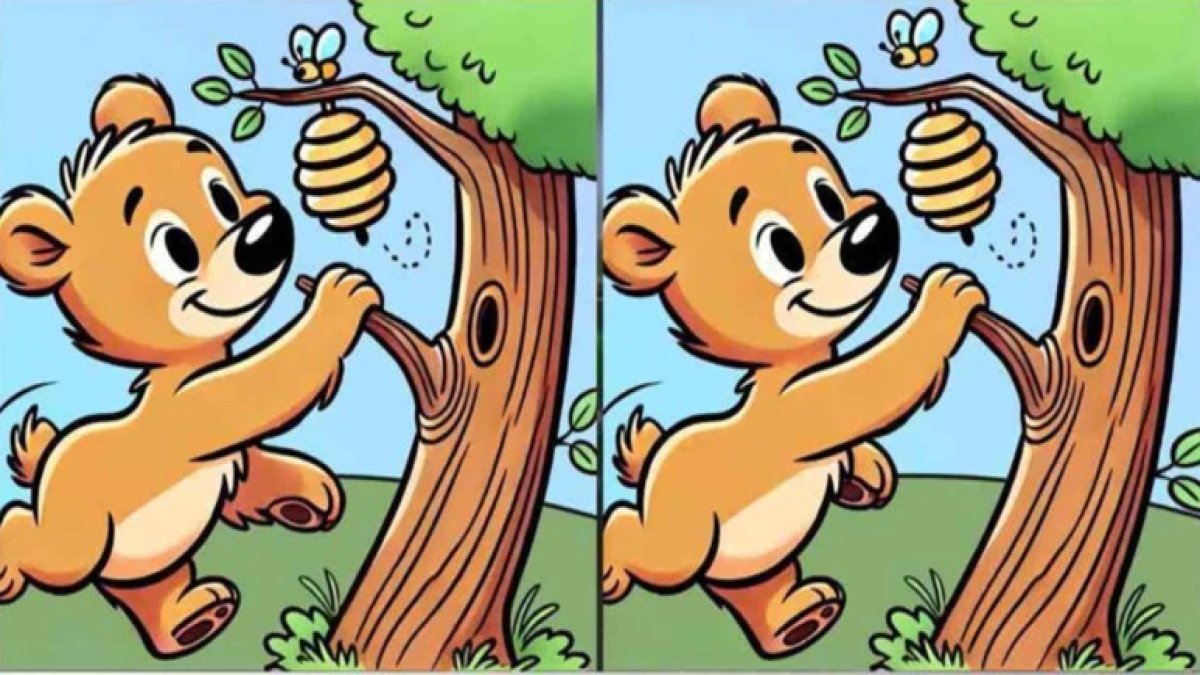 Yalnızca keskin gözler 12 saniyede fark ediyor: Ayı ve kovan bulmacası