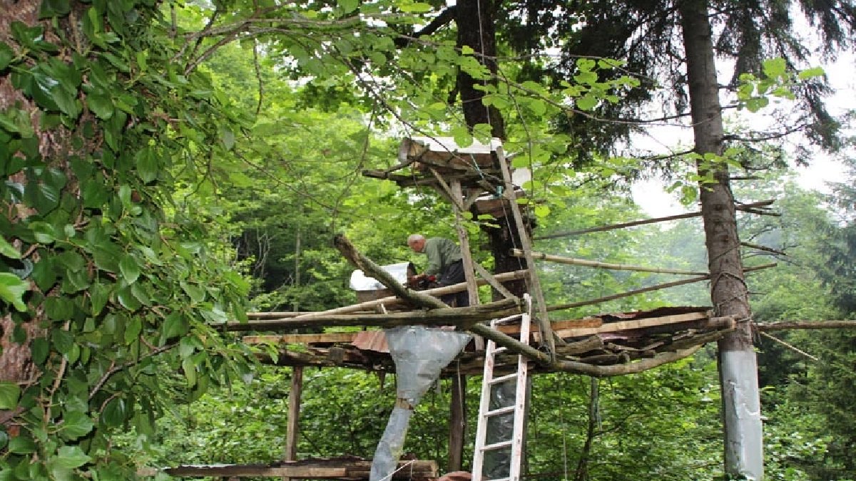 Kimse elini sürmüyor, üretimi doğaya bırakılıyor! Bu sene kilosu 7 bin TL’yi buldu