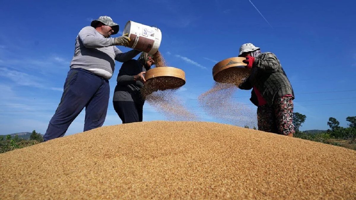 90 günde 3 aşamadan geçiyor, dünyanın her yerinden taliplisi çıkıyor! “Deli Mehmet” bereket yağdırıyor: Fiyatı 200 TL olacak