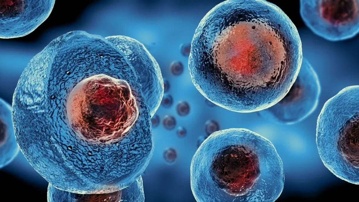 Yeni araştırma: Hücre ölürken bile virüse yol gösteriyor