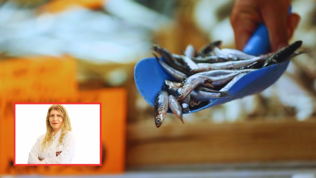 Uzmanından “mevsiminde balık” uyarısı geldi! Tüketin dedikleri de var uzak durun dedikleri de: Bu listeye mutlaka bakın