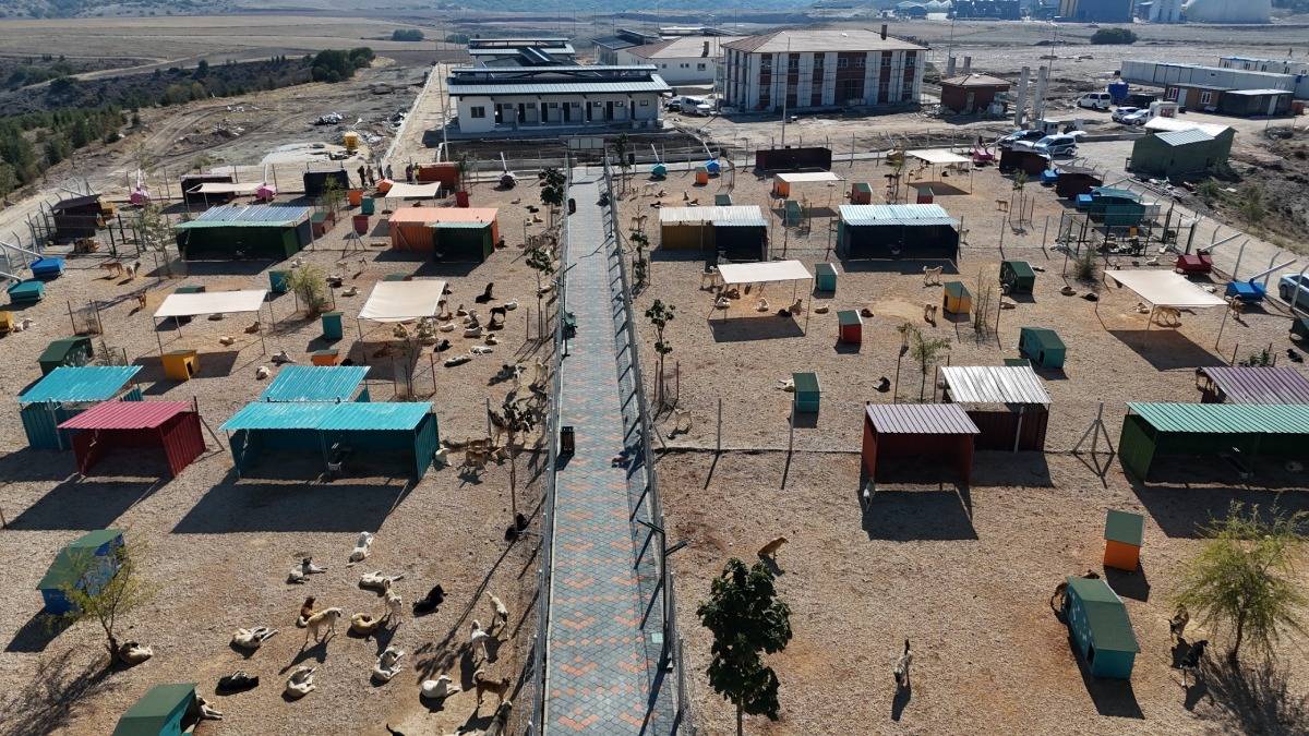 Hayvan Bakımevi ve Doğal Yaşam Alanı yükseliyor