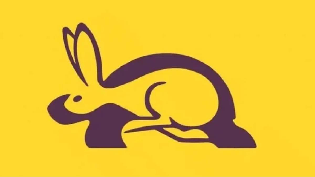 Viral olan görsel test! Kaplumbağa mı, tavşan mı? İlk cevabınız sizi anlatıyor