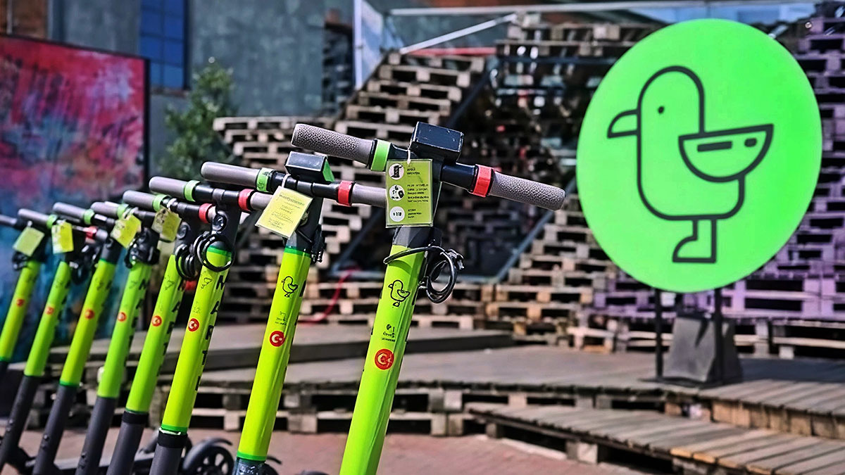 Ulaşım savaşının galibi Martı oldu! İstanbul'da elektronik ulaşım lisansı aldı