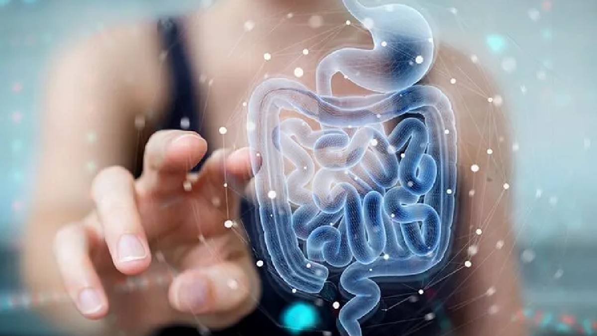 Bilim insanlarından yeni araştırma: Bağırsak bakterileri kişiliğimizi etkileyebilir