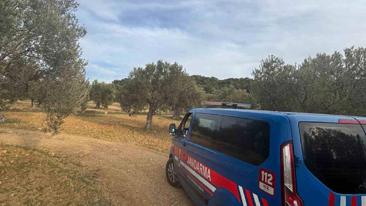 Hasatla birlikte hırsızlık korkusu da başladı! 48 bin dekarda yoğun mesai: Jandarma önlemini artırdı!