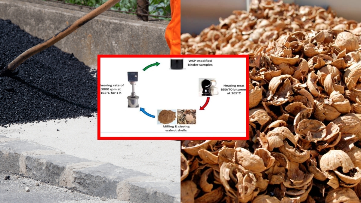 Ceviz kabuğuyla yaptılar, çevrecilik için adım attılar! Dünyada çığır açacak: Asfalt yapımında kullanılacak