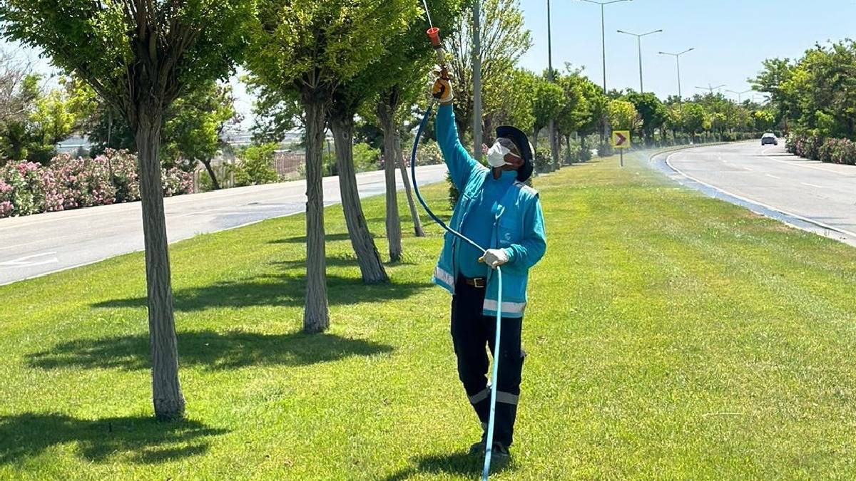 Gaziantep Büyükşehir, ilaçlama çalışmalarını arttırdı