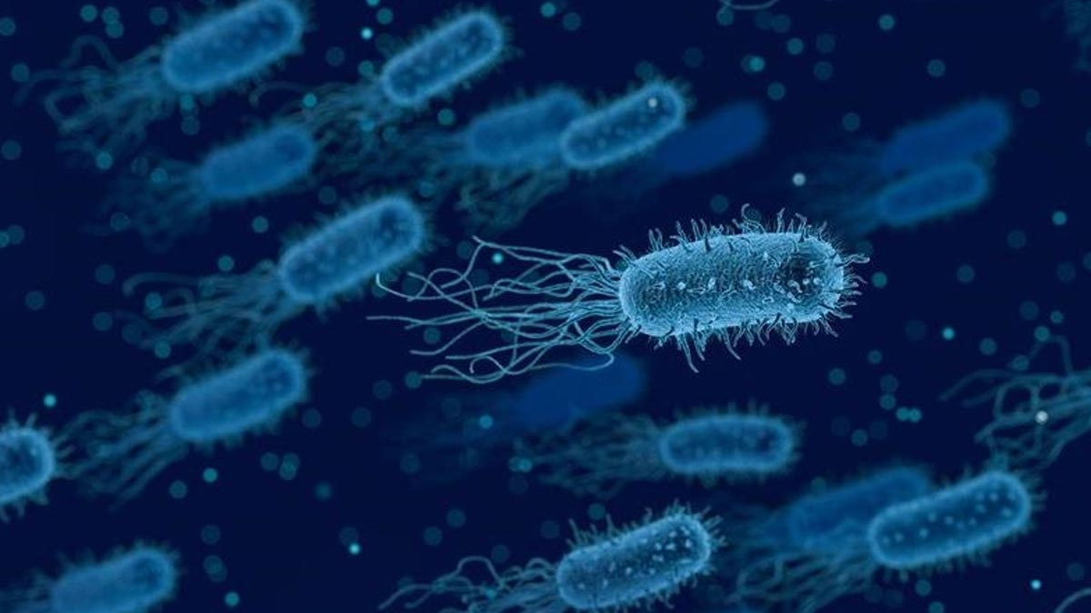 ABD’de listeria alarmı: 6 kişi öldü, 25 kişi hastaneye kaldırıldı