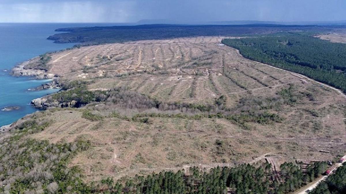 Danıştay’dan Sinop NGS kararı: ÇED süreci beklenecek