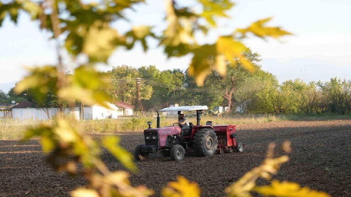 Kastamonu’dan getirildi, Düzce’de ekildi! Ata tohumları toprakla buluşuyor