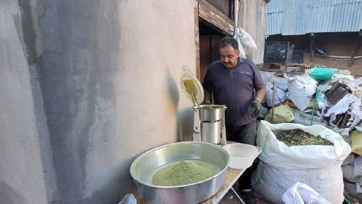 120 farklı bitkiden elde ediliyor! Bin bir zahmetle hazırlanıyor, şifa olarak görülüyor: 50 yıldır aynı usulle hazırlıyor