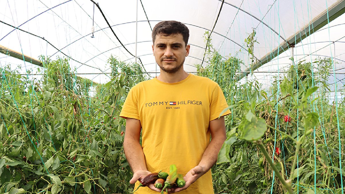 Akrabalarının sözünü dinledi, kendi işinin patronu oldu’ Yılda iki kez ürün topluyor