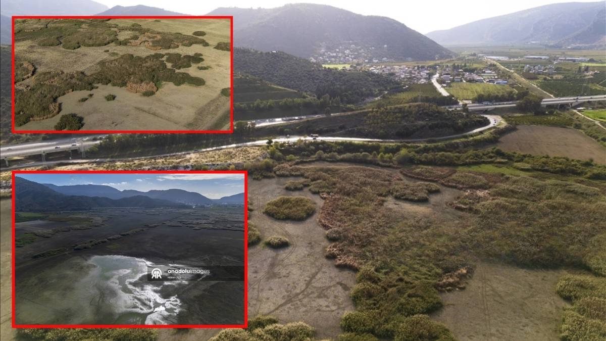 Kuraklığın etkisi artıyor! En büyük tatlı su gölü için alarm verildi: Su seviyesi düştü, balıklar telef oldu