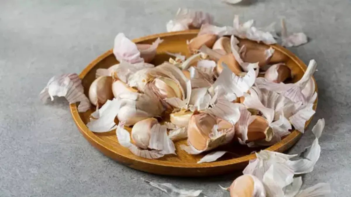 Sakın çöpe atmayın! Sarımsak kabuklarının 5 şaşırtıcı kullanım alanı ortaya çıktı