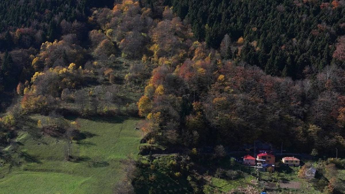 Zigana Dağı eteklerinde eşsiz bir adres! Doğa tutkunları buraya akın ediyor: Unutulmaz anlara hazır olun!