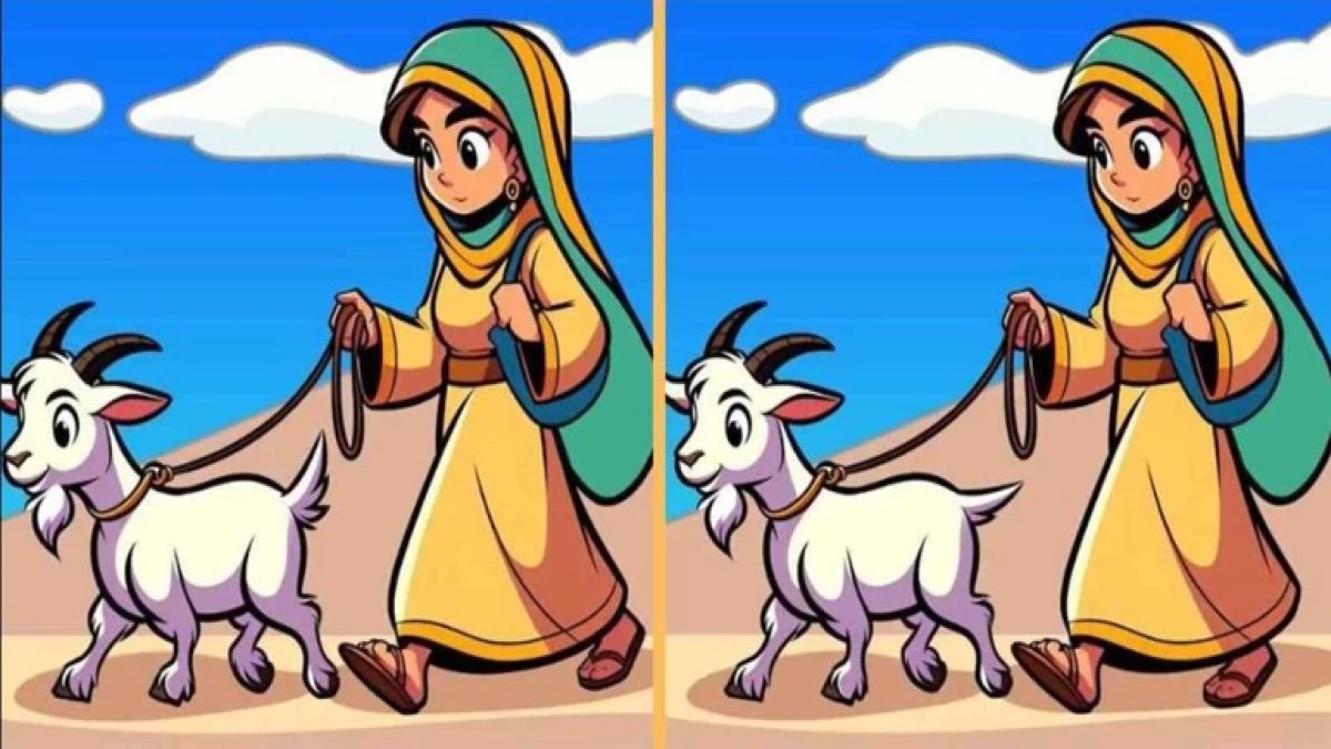 Detay avcılarına meydan okuma: Çölde keçi görselindeki 3 farkı 12 saniyede bulabilecek misiniz?