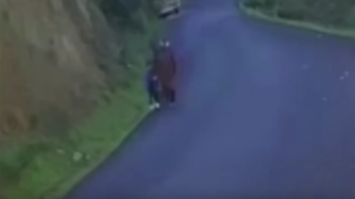 Mantar toplamak için evden ayrılıp geri dönemediler! 5 gündür aranan anne ve oğlunun yeni görüntüleri ortaya çıktı