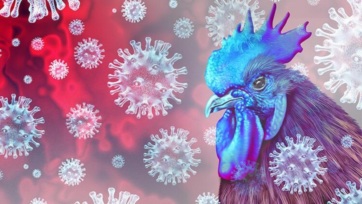 Yeni salgın kapıda! Avrupa’da vakalar artıyor: 10 Kasım’dan itibaren zorunlu hale gelecek