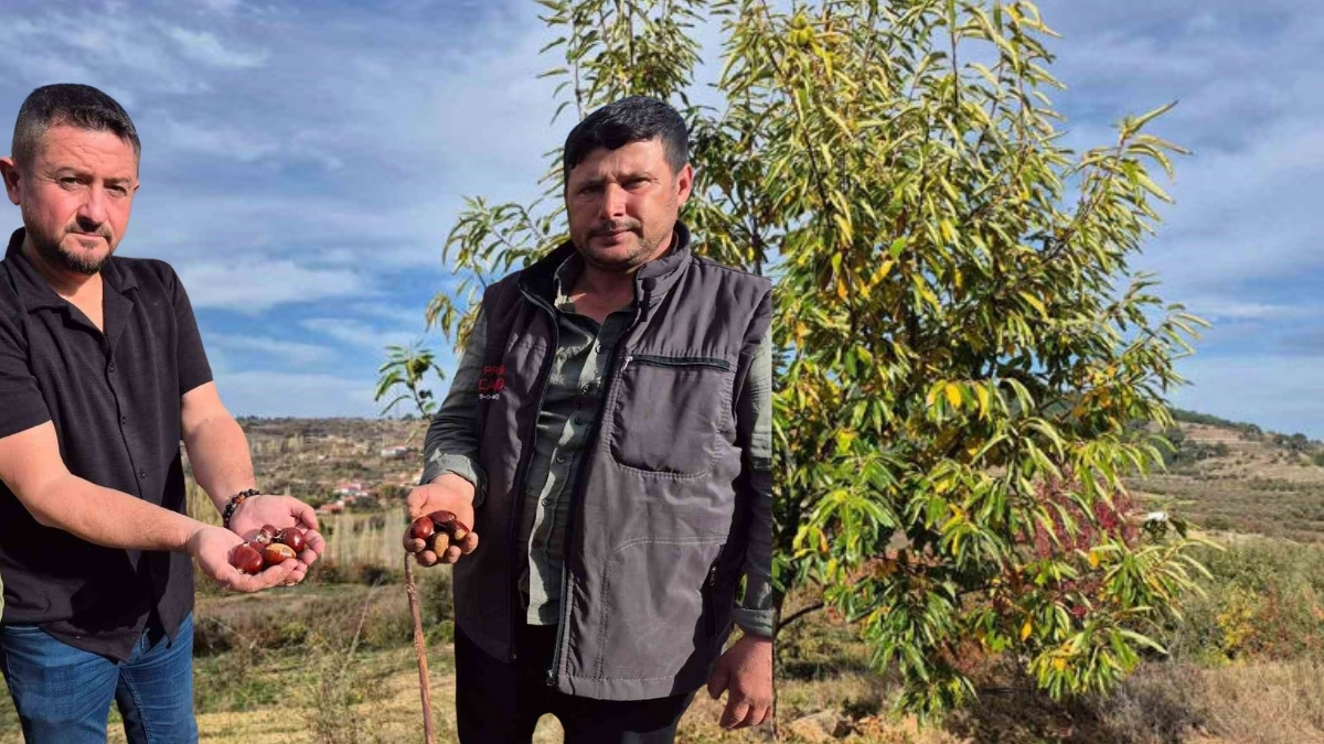 Zorlu mesai başladı, işçi bulmak zorlaştı! Kazancı yüksek ama çalışan yok: Tescilli lezzete talep yağıyor