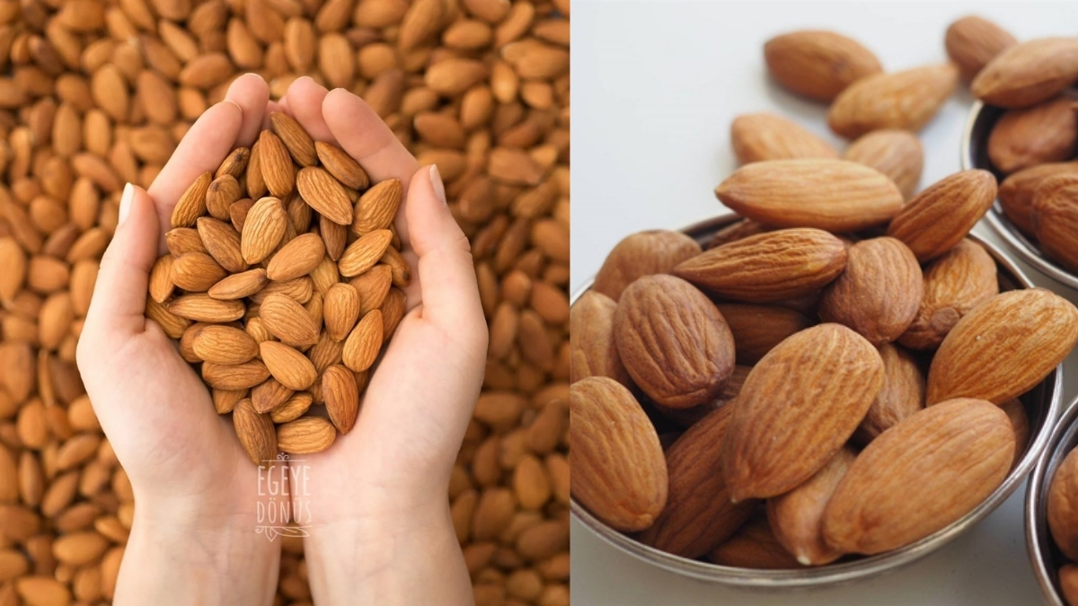 Kalp sağlığını iyileştiriyor, cildi güzelleştiriyor! Kuruyemişlerin en lezzetlisi: Düzenli tüketimde vücudu resetliyor