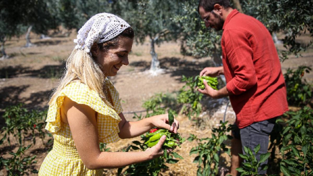 Eşiyle birlikte “Herkese olağanüstü” gelen işi yapıyor! Doğal ve katkısız üretim: Genç yaşta üretiyor, tüm Türkiye’ye satıyorlar