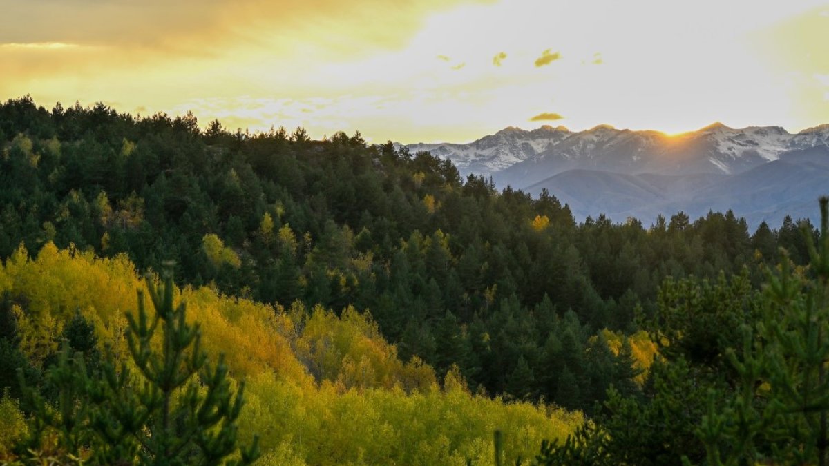 Gümüşhane’de sonbahar şöleni! Alpler'i aratmıyor: Zirvelerde kar, vadilerde renk cümbüşü