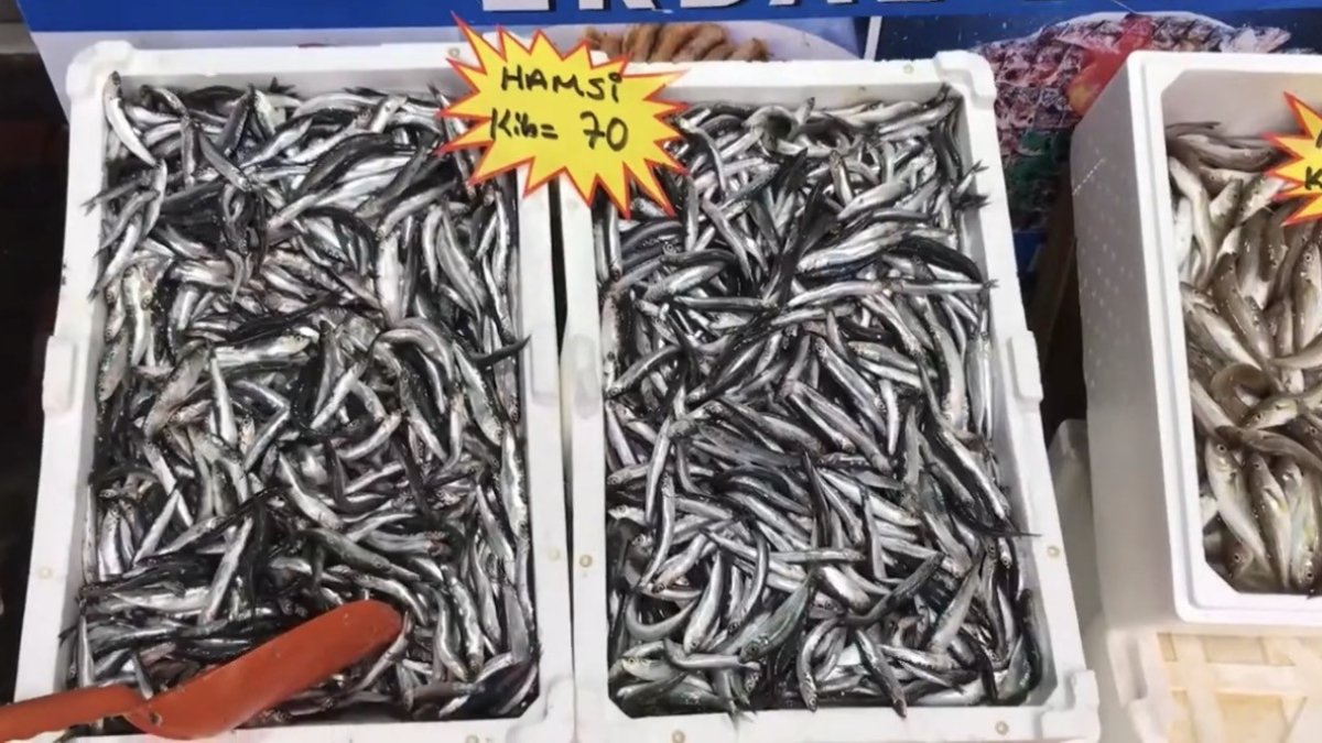 Balık tüketiminde önemli uyarı! "Buzhane balığından uzak durun!" Fiyatlar ne zaman düşecek?