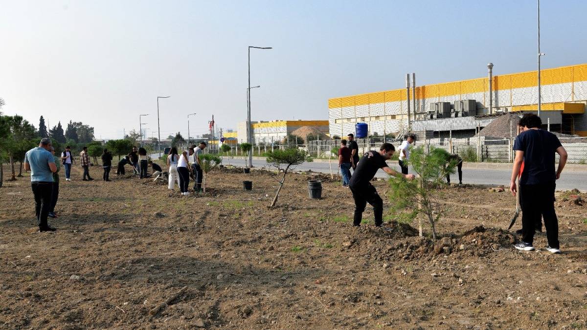 ZMO Genç 120 fıstık çamı fidanını toprakla buluşturdu