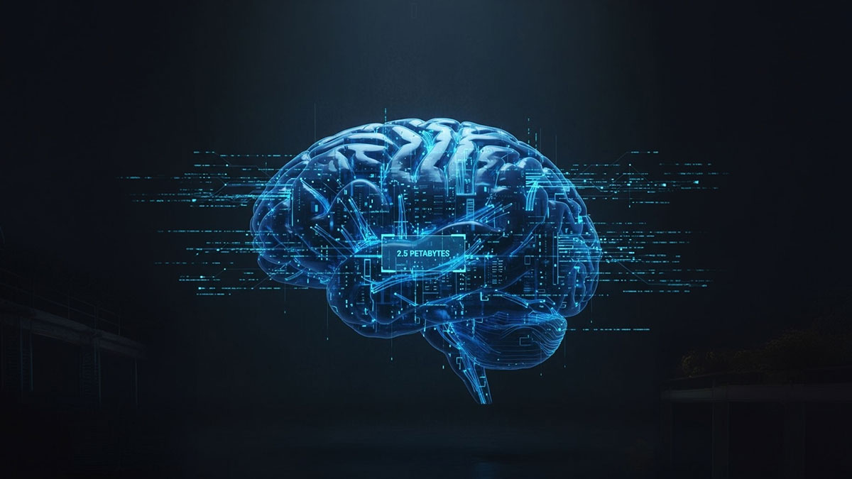 Kafamızda devasa hard disk taşıyoruz! İnsan beyninin depolama kapasitesi şoke edecek