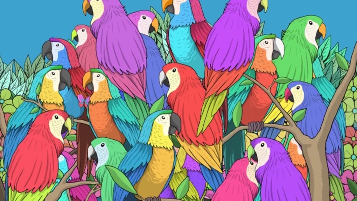 140 kişi denedi 5 saniyede sonucu bulan çıkmadı! Siz saklı kelebeği bulabilir misiniz?