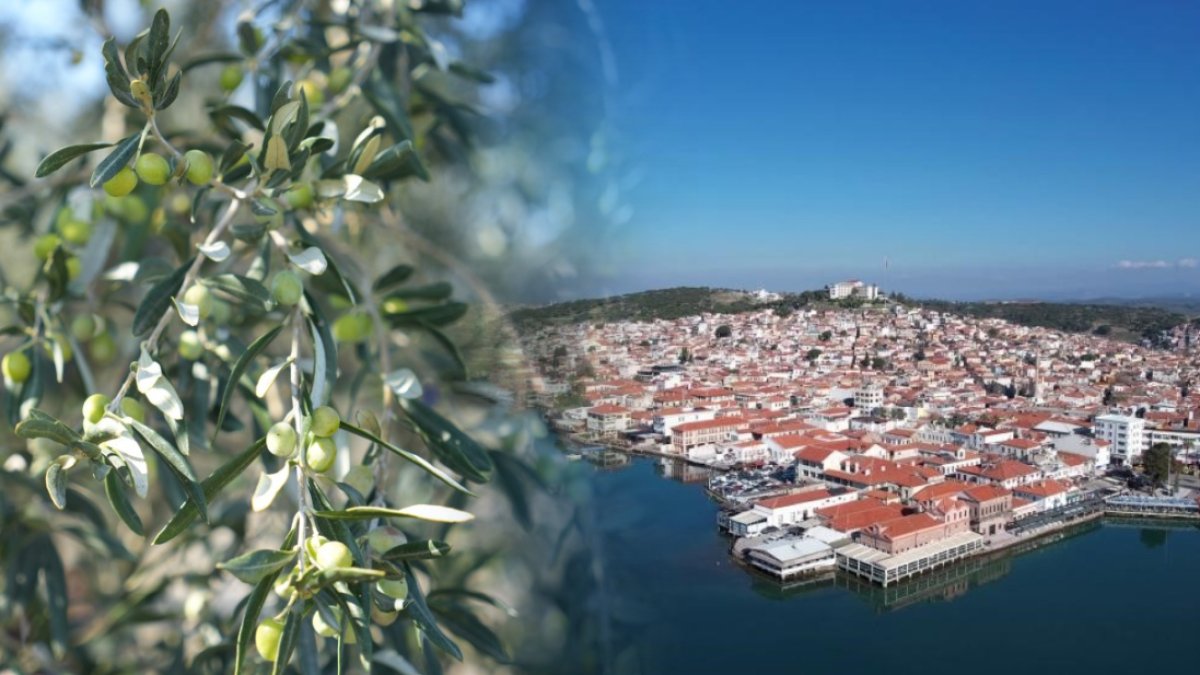 Ara tatilin ile birlikte zeytin diyarı Ayvalık’ta yoğunluk yaşanıyor! Turizm 12 aya yayıldı